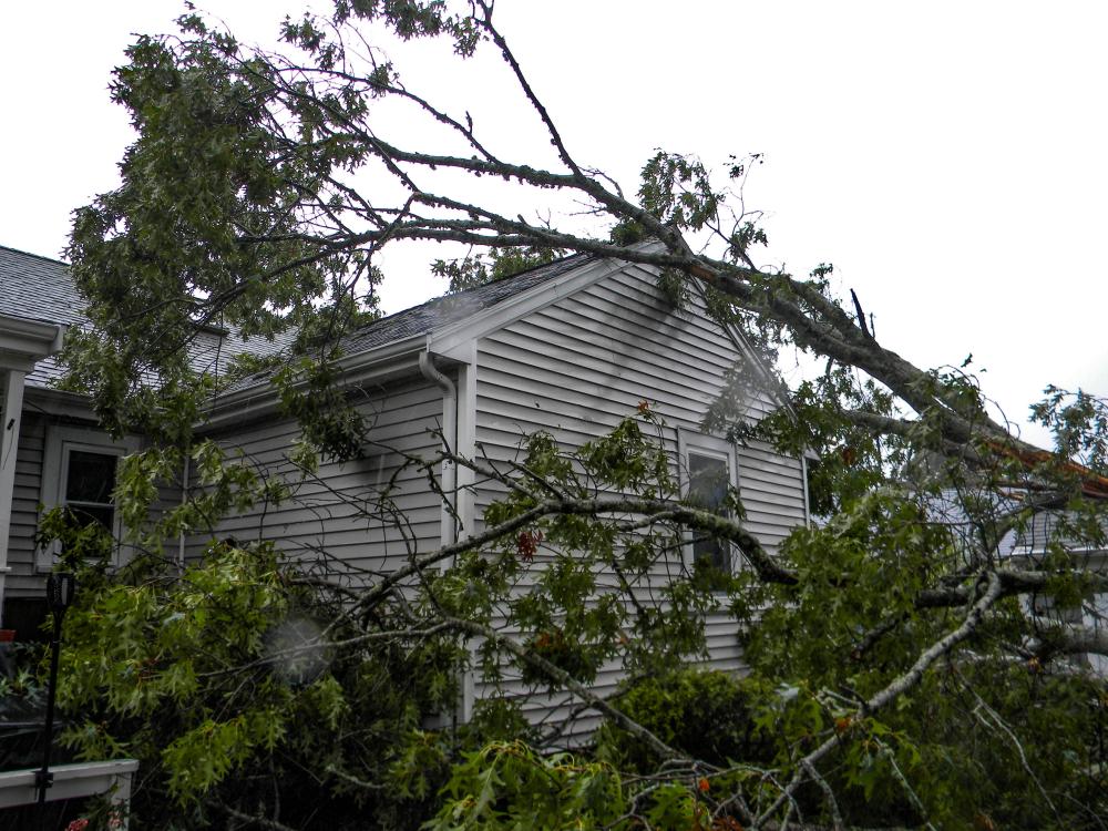 The tree fell onto Susan Mastria's Woodside Avenue home just before 3 a.m. on Saturday, Sept. 26. Photos by Christian Uva