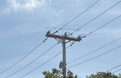 Raptor Guards and a T-type deterrent are used in tandem to keep birds off this pole.