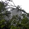 The tree fell onto Susan Mastria's Woodside Avenue home just before 3 a.m. on Saturday, Sept. 26. Photos by Christian Uva